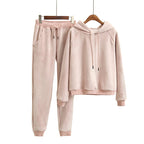 2020 Autumn Women Hoodies Hooded Long Sleeve Women Pink Hoodies Suits Elastic Pants Two Pieces Women Warm Pullovers