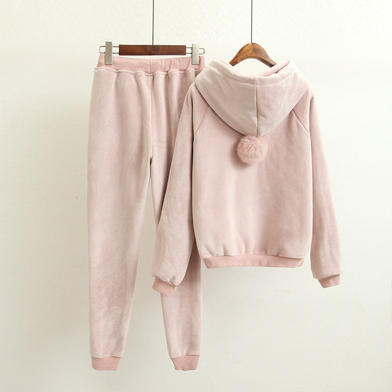 2020 Autumn Women Hoodies Hooded Long Sleeve Women Pink Hoodies Suits Elastic Pants Two Pieces Women Warm Pullovers