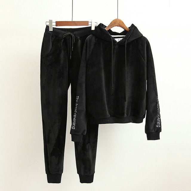 2020 Autumn Women Hoodies Hooded Long Sleeve Women Pink Hoodies Suits Elastic Pants Two Pieces Women Warm Pullovers