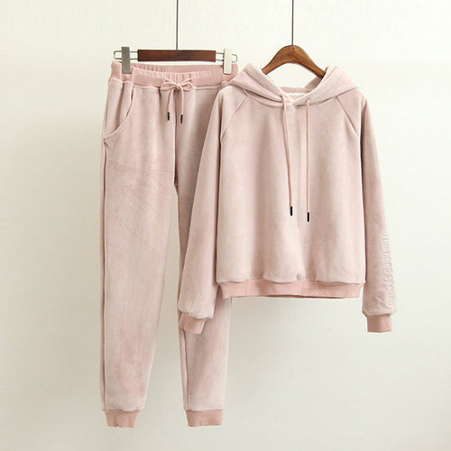 2020 Autumn Women Hoodies Hooded Long Sleeve Women Pink Hoodies Suits Elastic Pants Two Pieces Women Warm Pullovers